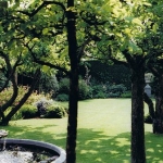 18 years garden maintenance in London 