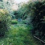 Before the work in the SW London garden