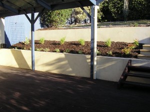 Calary Gardens Tidying and planting