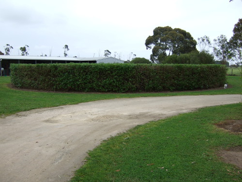 Hedge prepared for auction house